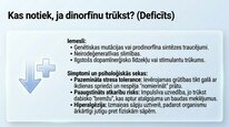 Presentations 'Dinorfīni', 8.