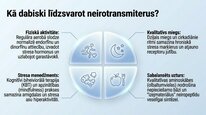 Presentations 'Dinorfīni', 10.