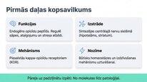 Presentations 'Dinorfīni', 12.