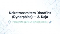 Presentations 'Dinorfīni', 13.