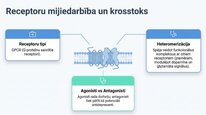 Presentations 'Dinorfīni', 17.