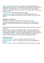 Summaries, Notes 'Kopsavilkums par fizikas tēmu - skaņa', 3.