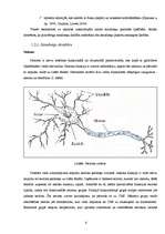 Research Papers 'Cilvēka smadzeņu pusložu lateralizācija', 7.