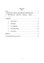 Research Papers 'Kārļa Ulmaņa apvērsums - tiesību attīstība vai degredācija', 2.