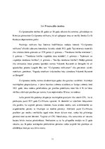 Research Papers 'Kārļa Ulmaņa apvērsums - tiesību attīstība vai degredācija', 11.