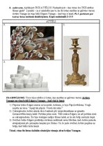 Summaries, Notes 'Konkurss vidusskolēniem vēsturē manas Tēvzemes stāsts – Dvēseļu putenis', 24.