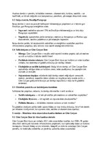 Essays 'The Damnation of a Canyon: Glen Canyon Dam konfliktu analīze vides, kultūras un ', 10.