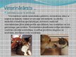 Presentations 'Nākotnes profesija - veterinārārsts, mazo dzīvnieku frizieris un kinologs', 3.