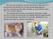 Presentations 'Nākotnes profesija - veterinārārsts, mazo dzīvnieku frizieris un kinologs', 6.
