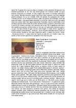 Essays 'Agrīnā modernisma gleznotāju biogrāfija un mākslas darbu analīze', 3.