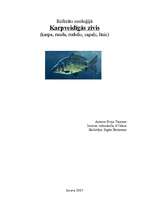 Research Papers 'Karpveidīgās zivis', 1.