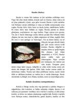 Research Papers 'Karpveidīgās zivis', 3.