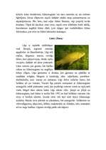 Research Papers 'Karpveidīgās zivis', 5.