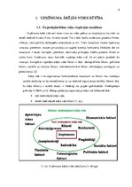 Research Papers 'Uzņēmuma ārējās vides analīze tirdzniecības uzņēmumā', 6.