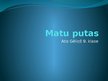 Presentations 'Matu putas', 1.