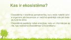 Presentations 'Ekosistēma', 2.