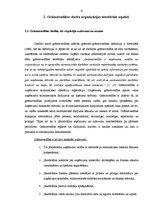 Term Papers 'Grāmatvedības darba organizācija uzņēmumā SIA "AgrAutoPlus"', 9.