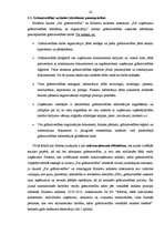 Term Papers 'Grāmatvedības darba organizācija uzņēmumā SIA "AgrAutoPlus"', 14.