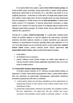 Term Papers 'Grāmatvedības darba organizācija uzņēmumā SIA "AgrAutoPlus"', 20.