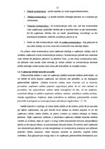 Term Papers 'Grāmatvedības darba organizācija uzņēmumā SIA "AgrAutoPlus"', 23.