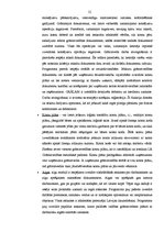Term Papers 'Grāmatvedības darba organizācija uzņēmumā SIA "AgrAutoPlus"', 31.