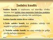 Presentations 'Sadales loģistika', 5.