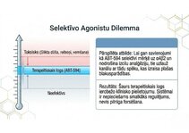 Presentations 'Atvieglojuma ceļš: neiromediatoru lielā modulācija', 7.