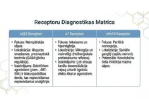 Presentations 'Atvieglojuma ceļš: neiromediatoru lielā modulācija', 8.