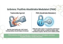 Presentations 'Atvieglojuma ceļš: neiromediatoru lielā modulācija', 9.