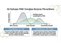 Presentations 'Atvieglojuma ceļš: neiromediatoru lielā modulācija', 10.