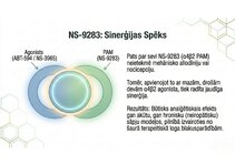 Presentations 'Atvieglojuma ceļš: neiromediatoru lielā modulācija', 12.