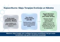 Presentations 'Atvieglojuma ceļš: neiromediatoru lielā modulācija', 13.