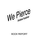 Summaries, Notes 'Report about Book "We Pierce"', 1.
