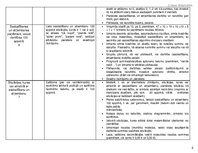 Summaries, Notes 'Tematiskais plāns', 5.