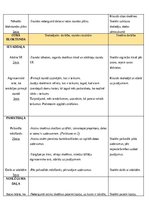 Practice Reports 'Prakse III (Sākumizglītības skolotājs 4 -  6. klase)', 16.