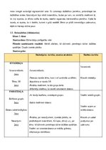 Practice Reports 'Prakse III (Sākumizglītības skolotājs 4 -  6. klase)', 19.