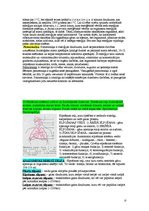 Summaries, Notes 'Anatomija un fizioloģija', 27.