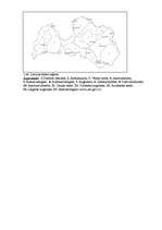 Research Papers 'Mežaudžu daudzveidība Latvijas dabas reģionos', 20.