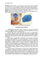 Research Papers 'Glezniecības tehnoloģija Senajā Ēģiptē', 3.