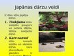 Presentations 'Japānas sausie dārzi', 4.