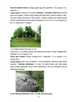 Research Papers 'Tūrisma un atpūtas iespējas Grobiņas pilsētā un Grobiņas pagastā', 23.