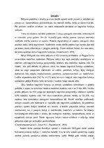 Term Papers 'Nootropo līdzekļu lietošanas tendences studentu vidū', 4.