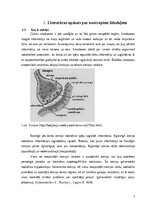 Term Papers 'Nootropo līdzekļu lietošanas tendences studentu vidū', 7.