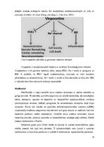 Term Papers 'Nootropo līdzekļu lietošanas tendences studentu vidū', 19.