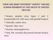 Presentations 'Herpes Viruses', 5.