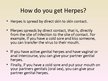 Presentations 'Herpes Viruses', 14.