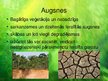 Presentations 'Tropu mežu ekosistēma', 12.