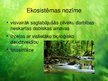 Presentations 'Tropu mežu ekosistēma', 13.