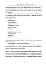 Research Papers 'Kartupeļu cietes ražošana un realizācija Latvijā 2001. - 2006.gadā', 6.