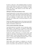 Essays 'Tēlu analīze Annas Brigaderes pasaku lugā ‘Sprīdītis’: raksturu atklāsme un morā', 2.